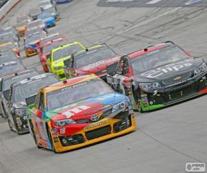 Puzzle NASCAR Sprint Cup Series
